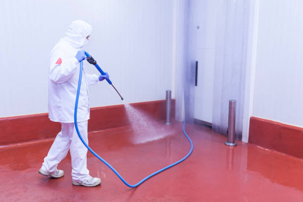 Reliable Springfield, KY Pressure Washing Solutions