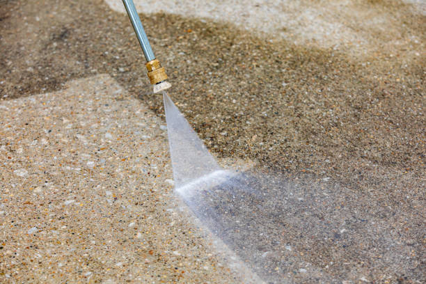 Best Driveway Pressure Washing  in Springfield, KY